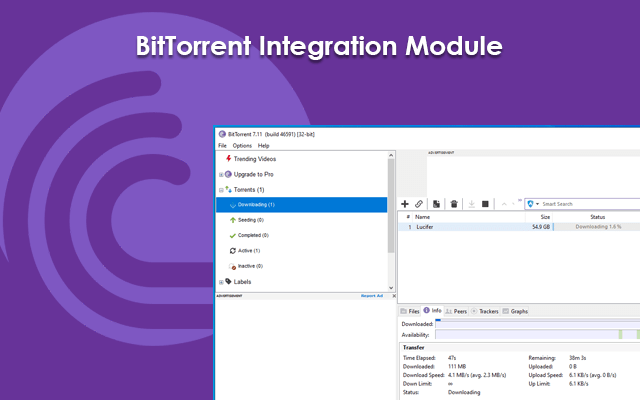 BitTorrent For Chrome